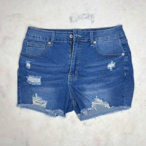 NWT Grapent High Waisted Distressed Stretch Denim Shorts, Size 12-14